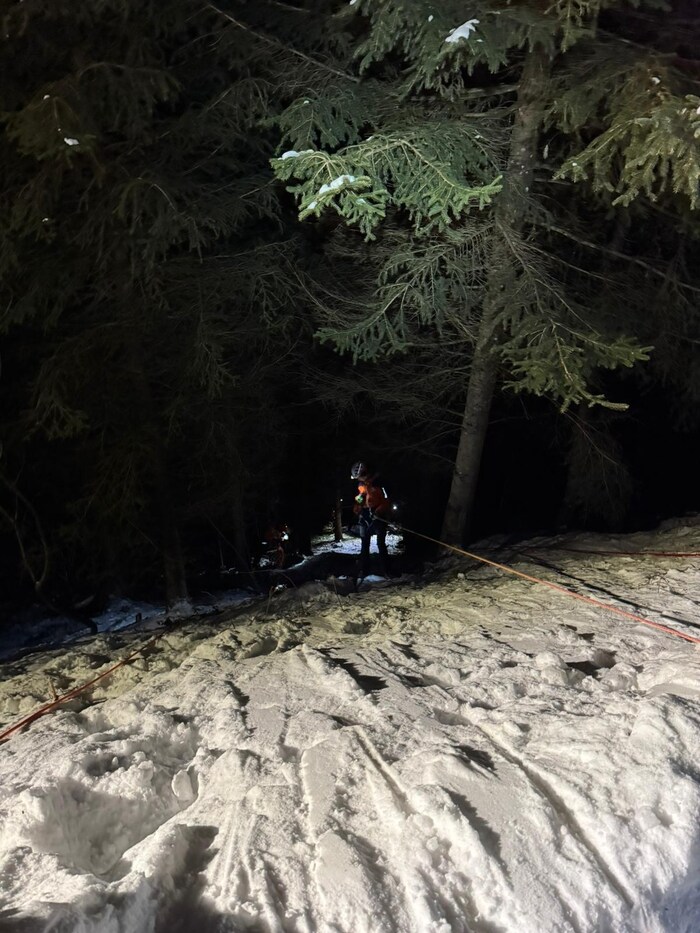 The Mittersill mountain rescue team rescued the two tobogganers.