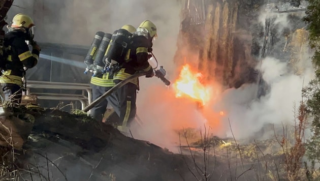 Nur vier der Schafe konnten aus den Flammen gerettet werden. (Bild: DOKU-NÖ)