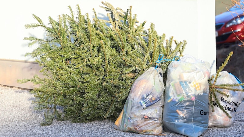 The Christmas trees are returned to households as heat. (Bild: Birbaumer Christof)