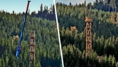 Ansitz mit Aussicht: 29 Meter ragt das Holzbauwerk auf der Koralpe in der Gemeinde Bad Schwanberg in den Himmel.  (Bild: Krone KREATIV/ZVG)