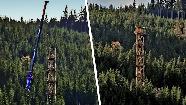 Ansitz mit Aussicht: 29 Meter ragt das Holzbauwerk auf der Koralpe in der Gemeinde Bad Schwanberg in den Himmel.  (Bild: Krone KREATIV/ZVG)