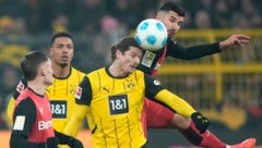 Mario Basler sees BVB coach Nuri Sahin as the main reason why Marcel Sabitzer (center) has not been able to build on last season's performances. (Bild: AP ( via APA) Austria Presse Agentur/ASSOCIATED PRESS)