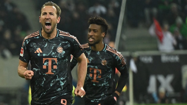 Können Harry Kane (links) und die Bayern zum Abschluss der Hinrunde nochmal drei Punkte bejubeln? (Bild: AFP/APA/INA FASSBENDER)