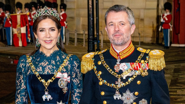 Königin Mary und König Frederik beim Neujahrsempfang 2025 (Bild: picturedesk.com/Dutch Press Photo Agency / Action Press)