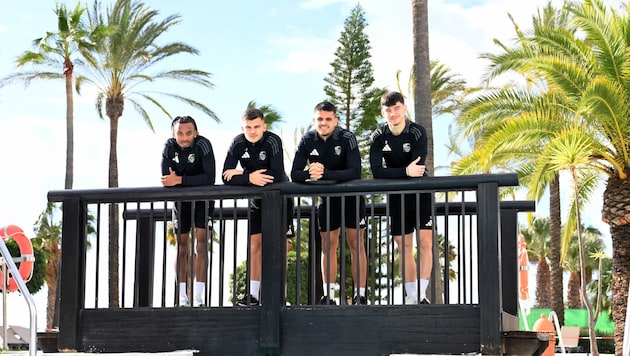 Feeling at home at the camp in Estepona: Thierno Ballo, Adis Jasic, Dejan Zukic and Boris Matic (from left). (Bild: f. pessentheiner)