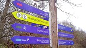 Zu blau kommt gelb – im gesamten Bereich des Nationalparks Donauauen werden die kombinierten ...