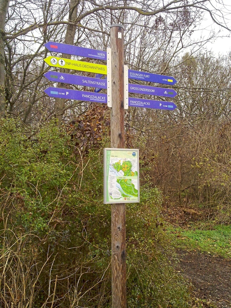 The yellow test signposts for cycle routes were discovered at Vorwerkstraße 3 in Lobau. (Bild: Radlobby Wien)