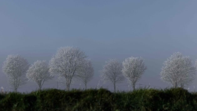 Die eisigen Temperaturen bleiben nachts erhalten. (Bild: AFP)