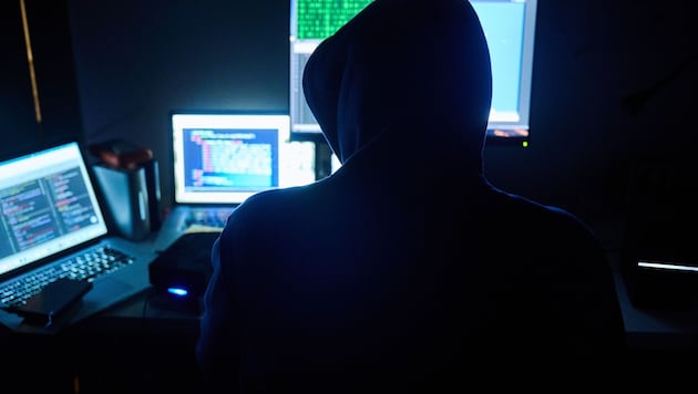 Whether hacker attacks, online fraud, blackmail or securing digital evidence - in this day and age, investigators also need to be on their toes in the IT sector. (Bild: Annette Riedl / dpa / picturedesk.com)