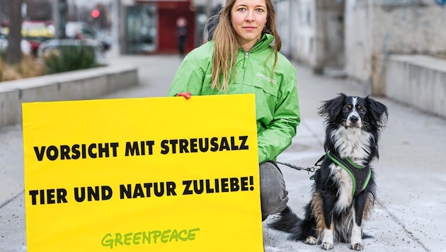 Animal rights activists are calling on people to avoid salt out of consideration for our four-legged friends. Safety is important when there is particularly dangerous black ice, for example, but there are alternatives such as grit. (Bild: Greenpeace/Mitja Kobal)