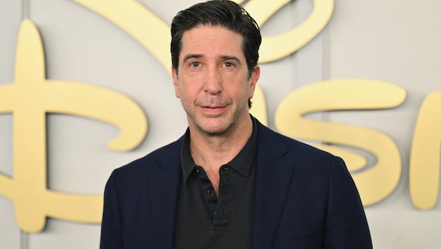 David Schwimmer musste einst für seine Mutter arbeiten und Scheidungsbescheide überbringen. (Bild: APA/AFP/ANGELA WEISS)