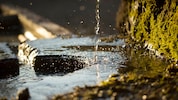 Wasserland Österreich – wie lange noch? 