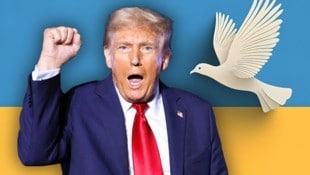 Donald Trump will Frieden in der Ukraine schaffen. Wie glaubwürdig ist das? (Bild: Getty, Stock Adobe, Krone KREATIV)