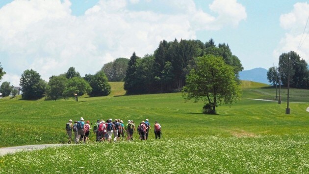 Walking together, coming to yourself on the Hemma Pilgrimage Trail. (Bild: Monika Gschwandner-Elkins)