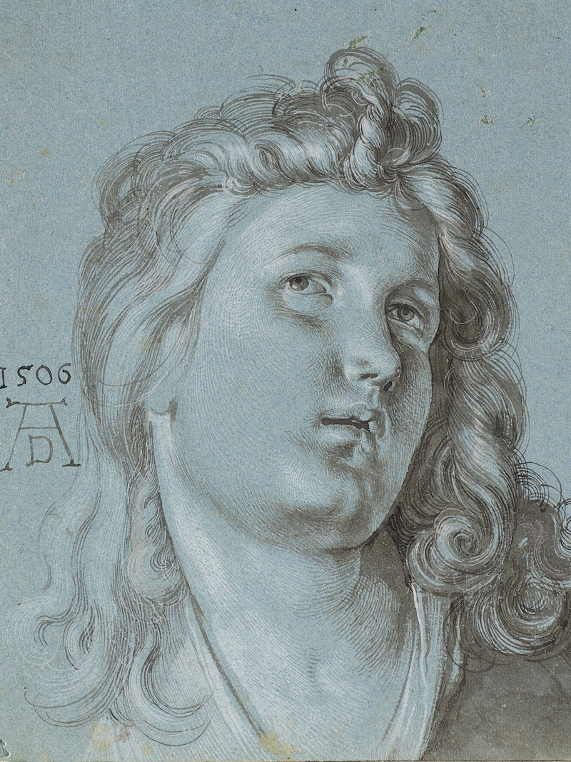 Albrecht Dürer, Head of the Angel Playing the Lute (detail from the "Feast of the Rosary"), 1506, brush in gray and black, gray wash, heightened with opaque white, on blue paper. (Bild: Albertina Wien)