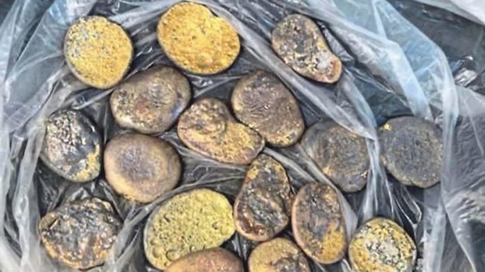The historical coins were apparently melted down. Only these pieces were found.