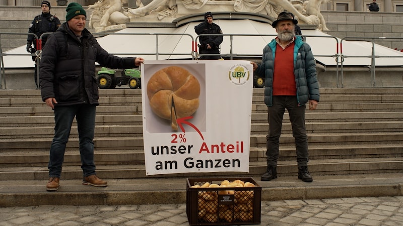 Farmers in front of the parliament in Vienna (Bild: krone.tv)