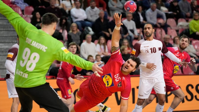 Österreich zeigte eine kämpferische und konzentrierte Leistung.