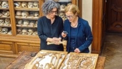 Die Untersuchung von Skeletten brachte zutage, dass schon in grauer Vorzeit Menschen unterschiedlicher Herkunft friedlich in Niederösterreich lebten. (Bild: Anthropologische Abteilung
Naturhistorisches Museum Wien
Burgring 7, 1010 Wien
Foto: Wolfgang Reichmann)