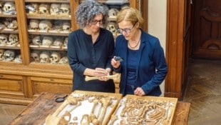 Die Untersuchung von Skeletten brachte zutage, dass schon in grauer Vorzeit Menschen unterschiedlicher Herkunft friedlich in Niederösterreich lebten. (Bild: Anthropologische Abteilung
Naturhistorisches Museum Wien
Burgring 7, 1010 Wien
Foto: Wolfgang Reichmann)