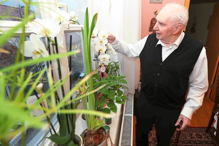 „Menschen sind wie Blumen. Jeder braucht einen ganz bestimmten Platz, um wachsen und gedeihen zu ...