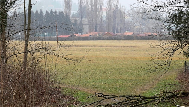 Auf dieser Wiese in Andritz hätte der PV-Park entstehen sollen.  (Bild: Jauschowetz Christian)