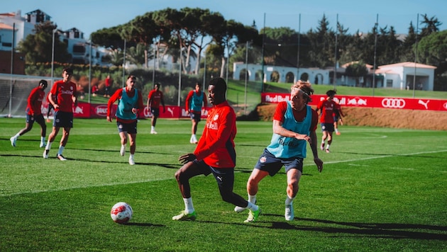 Edmund Baidoo (li.) und Mads Bidstrup zeigten auf. (Bild: Fabian Weirather – FC Red Bull Salzburg)