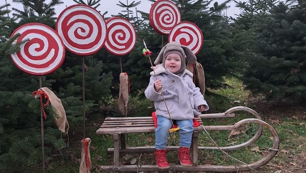 Emma already felt at home in the Schleißheim crèche and wants to go back. (Bild: Kronsteiner)