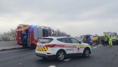 Obwohl die Helfer rasch vor Ort waren, kam jede Hilfe zu spät. (Bild: Feuerwehr Eisenstadt)