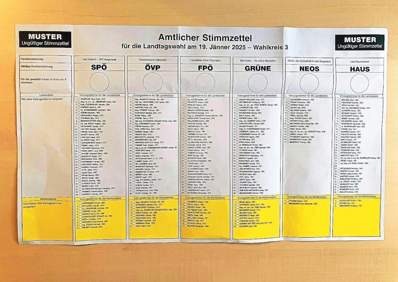 A maximum of four preferential votes can be cast in the election: One preferential vote on the provincial list and one each to a maximum of three candidates from the same party on the constituency list (Bild: APA/JUDITH HÖGERL / APA / picturedesk.com)