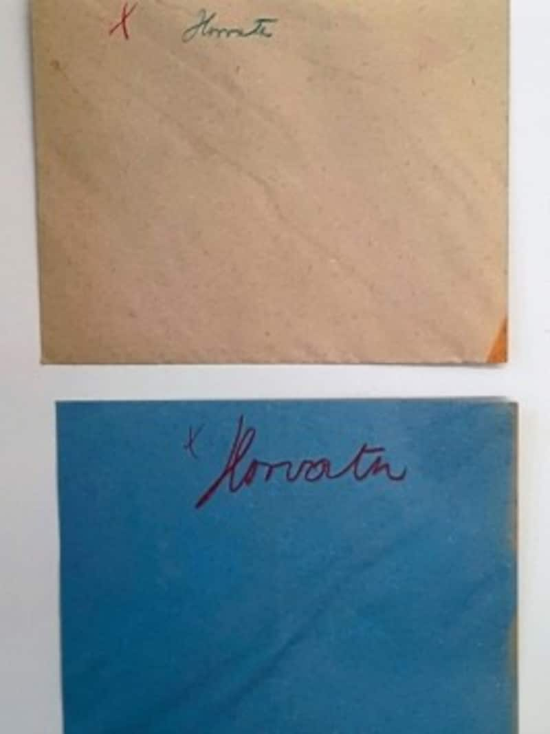 Ballot envelopes from the First Republic: At that time, there were still different colors for men and women. The women's envelopes were counted first. (Bild: Herbert Brettl)