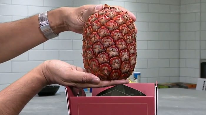 This Rubyglow pineapple (pictured) costs the equivalent of just under 390 euros.