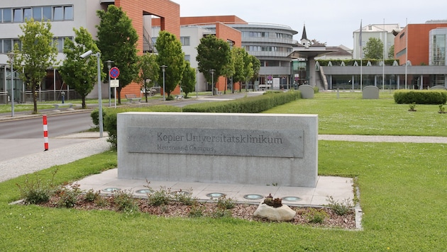 The Neuromed Campus, formerly the Wagner-Jauregg State Mental Hospital (Bild: Scharinger Daniel/Pressefoto Scharinger © Albin Schuster)