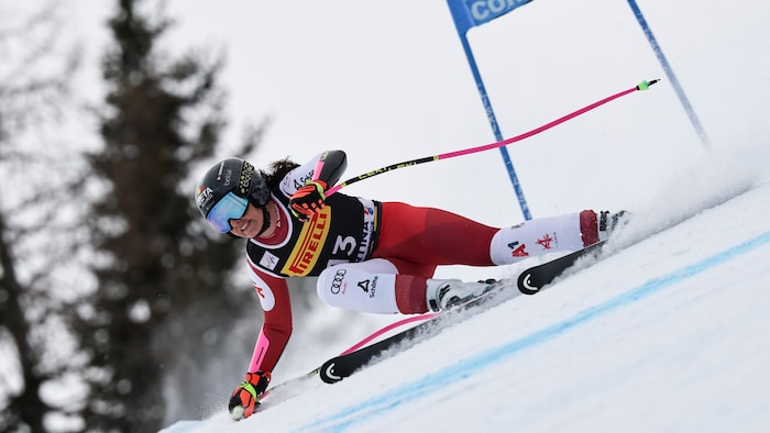 Stephanie Venier