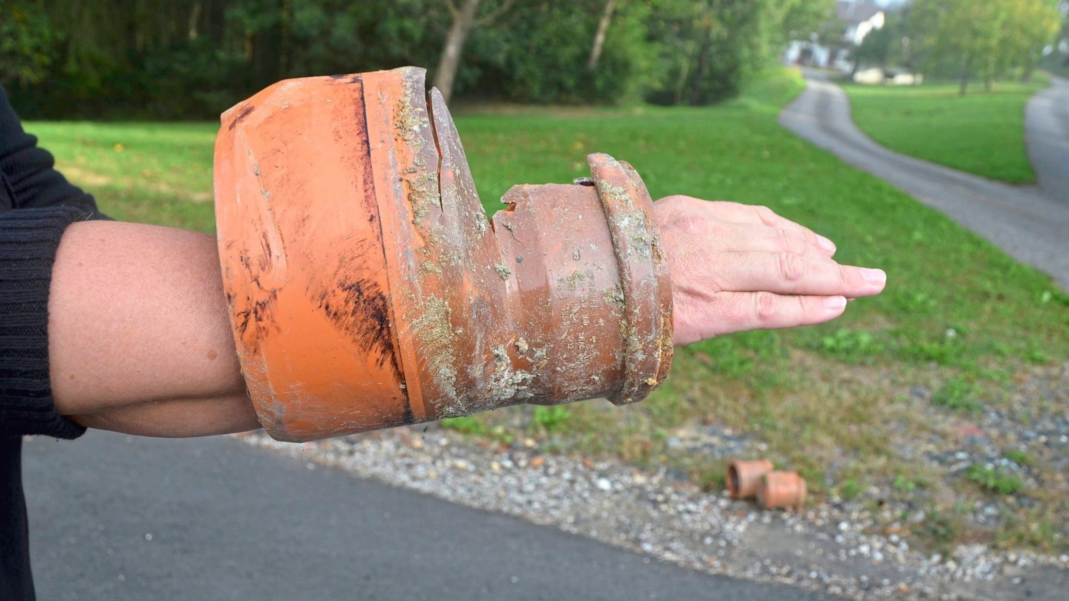 Bei einer Katzenrettung passiert – der Auslöser für Alarmierungen in der ...