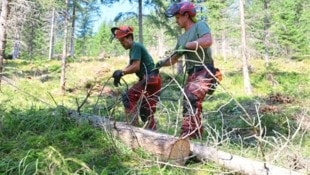 Die Aufräumarbeiten dauern nach wie vor noch an. (Bild: Birbaumer Christof)