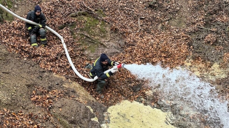 Die Mannschaft der Freiwilligen Feuerwehr Pöllau versuchte, noch Schlimmeres zu verhindern (Bild: FF Pöllau)