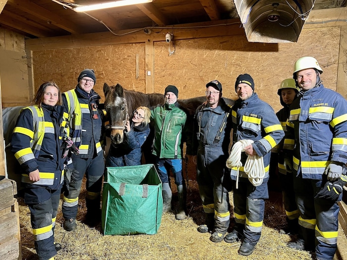Happy End! 20 Mitglieder der Feuerwehr brachten die Stute wieder auf die Beine.  