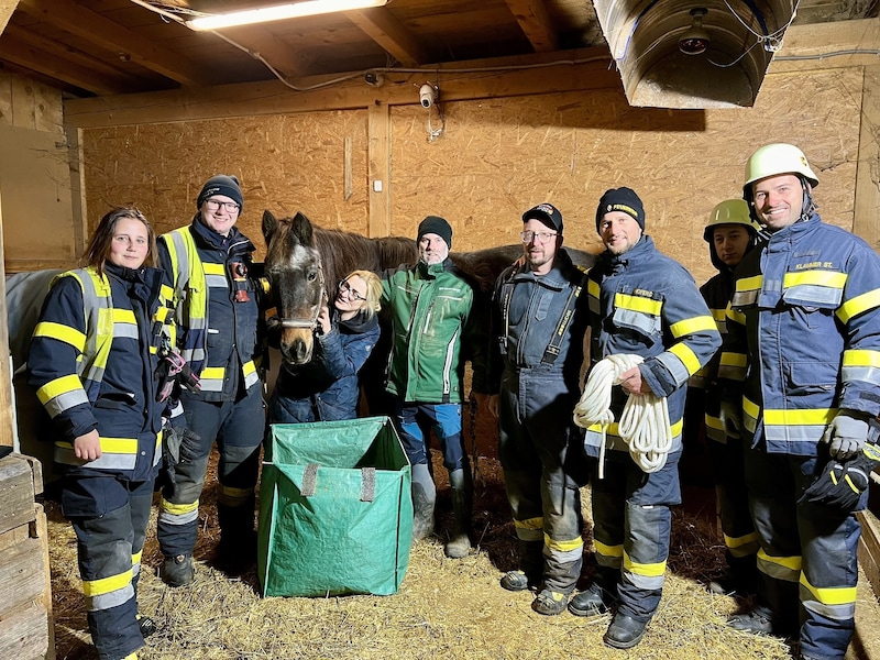 Happy End! 20 Mitglieder der Feuerwehr brachten die Stute wieder auf die Beine.   (Bild: HFW Villach)