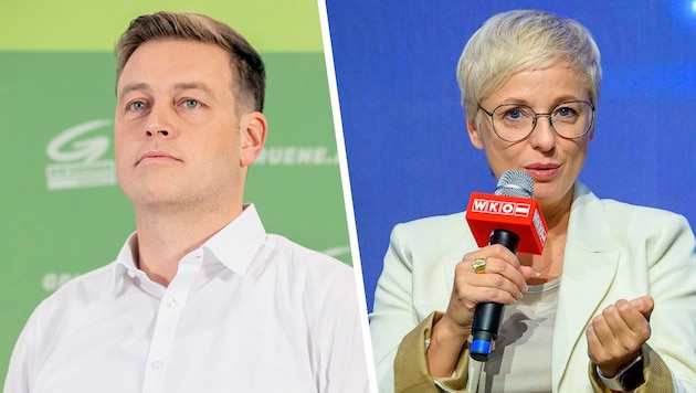 WKOÖ President Doris Hummer hopes that the coalition negotiators will agree on reforms. Green Party leader Stefan Kaineder paints a gloomy blue-black picture. (Bild: Krone KREATIV/Cityfoto/Wolfgang Simlinger APA/Tobias Steinmaurer)