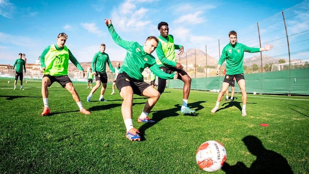 Rapid started the training camp in Benidorm in glorious sunshine. (Bild: SK Rapid)