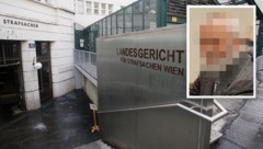 Dem Pensionisten wird im Wiener Landesgericht der Prozess gemacht.  (Bild: Krone KREATIV/Zwefo, Martin Jöchl)