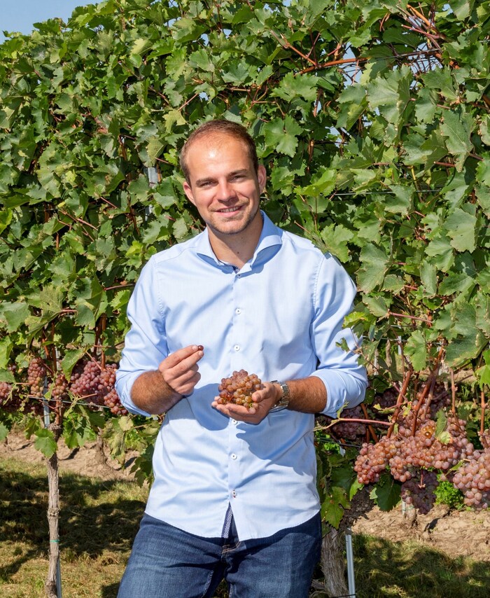Winery Jungmayr