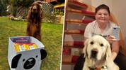 Ophelia (li) freut sich über Leckerlis, Simon über sein Handy!