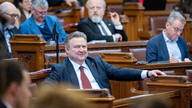 Bürgermeister Michael Ludwig bei der Sitzung des Wiener Gemeinderats (Bild: APA/GEORG HOCHMUTH)