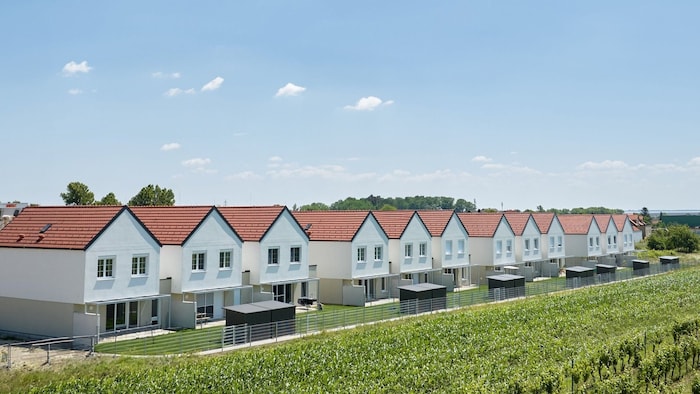 Die Reihenhäuer der NEBAU in Purbach. Ziehen trotz Preissenkung über einen längeren Zeitraum ...