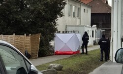 Im Garten eines Hauses in Hall entdeckte ein Bewohner die Leiche. Er hatte nach seiner Katze ...