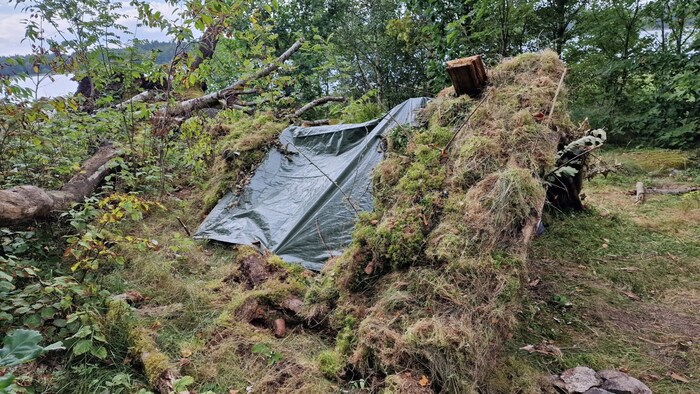 A fallen tree was used as a shelter.