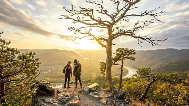 Wachau (Bild: ROBERT HERBST)