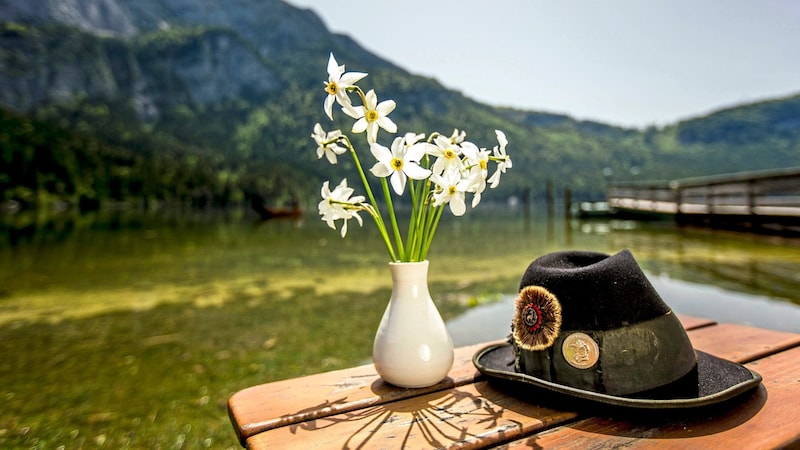 65 Jahre Narzissenfest (Bild: Steiermark Tourismus / ikarus.cc)